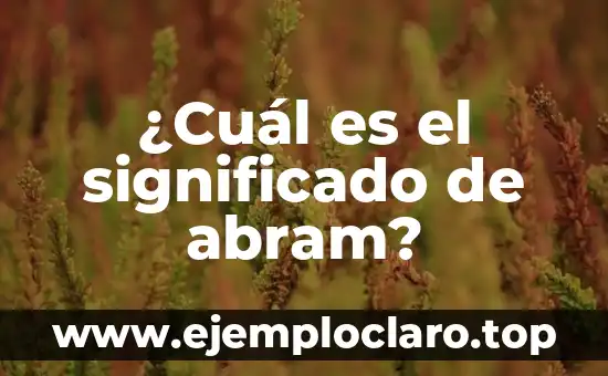 ¿Cuál es el Día de los Santos Inocentes? - Historia y Tradiciones 8 ¿Cuál es el significado de abram?