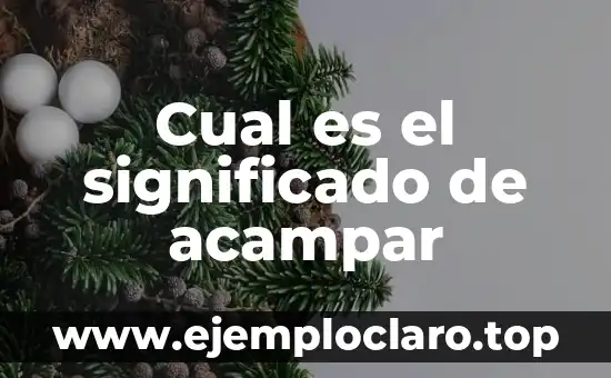 ¿Qué es una Centrifuga? Definición y Usos 3 Cual es el significado de acampar