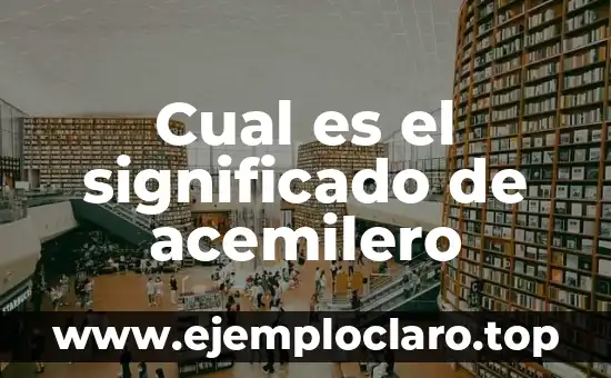 ¿Qué es el Vestido Dorado o Azul? La Ilusión Óptica que Divide a la Sociedad 3 Cual es el significado de acemilero