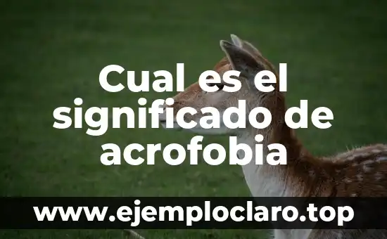 ¿Cuál ha sido el gordo de Navidad más grande de la historia? 4 Cual es el significado de acrofobia