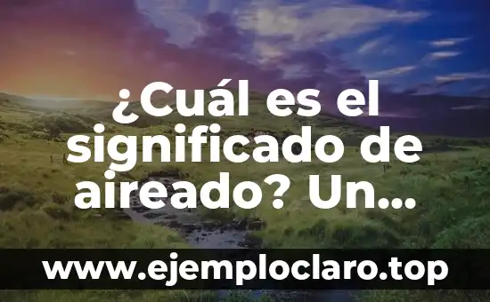 Significado y Definición de Misión 5 ¿Cuál es el significado de aireado? Un enfoque detallado