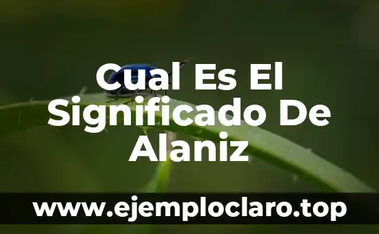 Significado y Definición de Should 7 Cual Es El Significado De Alaniz