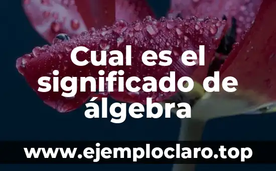 Significado y Definición de la Ciencia 7 Cual es el significado de álgebra