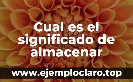 Turbado - Un Análisis Profundo del Concepto y su Significado 8 Cual es el significado de almacenar
