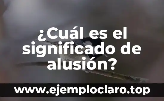 ¿Cuál es el significado de alusión?