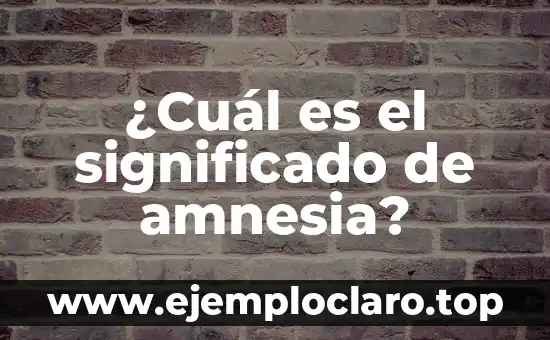 ¿Cuál es el significado de amnesia?
