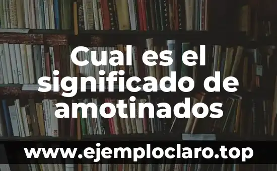 Cual es el significado de amotinados