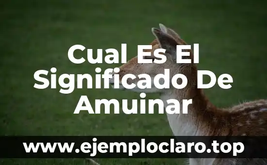 Cual Es El Significado De Amuinar