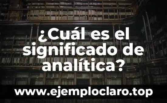 Significado y Concepto de Sistemática 7 ¿Cuál es el significado de analítica?