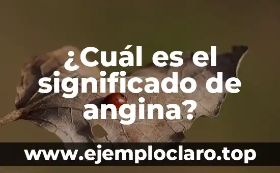 Significado de Pulseras de Cráneos Rojos: Historia y Simbolismo 7 ¿Cuál es el significado de angina?