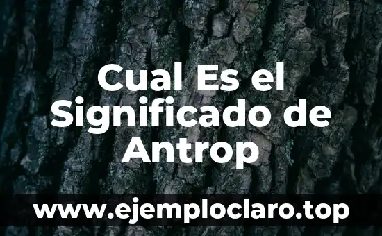 Cual Es el Significado de Antrop