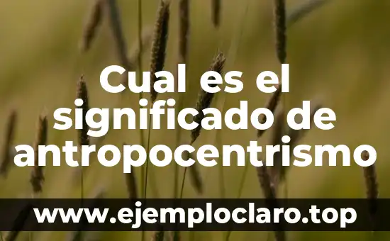 ¿Cuál es el Día de los Santos Inocentes? - Historia y Tradiciones 4 Cual es el significado de antropocentrismo