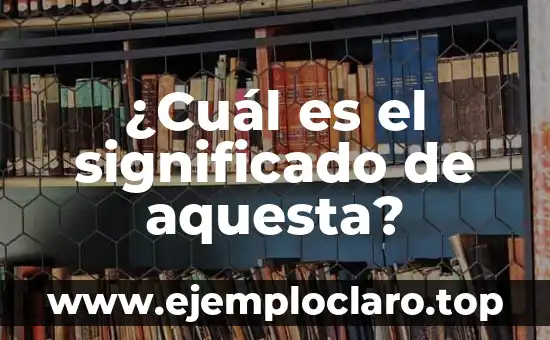 ¿Cuál es el significado de aquesta?