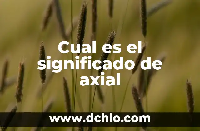Significado y Concepto de Alma 6 Cual es el significado de axial