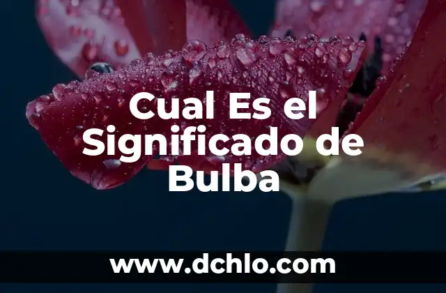 Buscar el Significado de Esterilla 8 Cual Es el Significado de Bulba