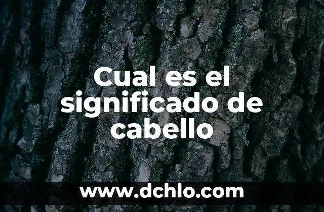¿Por qué se regala una rosa el 23 de abril? | Significado y Tradición 5 Cual es el significado de cabello