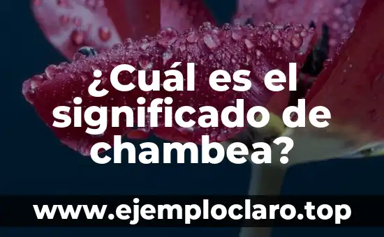 ¿Qué es la Cultura? 5 ¿Cuál es el significado de chambea?