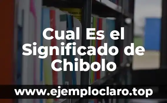 ¿Qué es la Cultura? 3 Cual Es el Significado de Chibolo