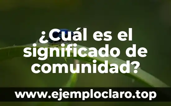 El Significado Primitivo de la Comunicación: Orígenes y Evolución 6 ¿Cuál es el significado de comunidad?