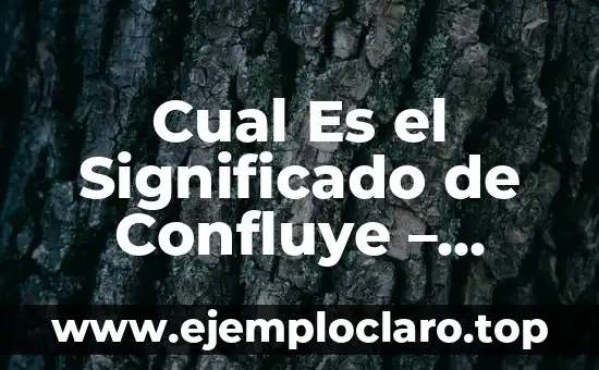 ¿Quién es el famoso y multimillonario Iron Man? - Biografía y Legado 7 Cual Es el Significado de Confluye – Explicación Detallada