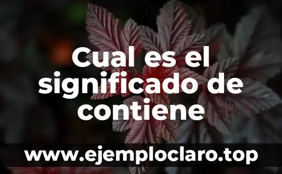 Cual es el significado de contiene