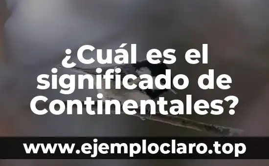 ¿De qué año es Dragon Ball? - Una guía completa sobre la historia de Dragon Ball 8 ¿Cuál es el significado de Continentales?