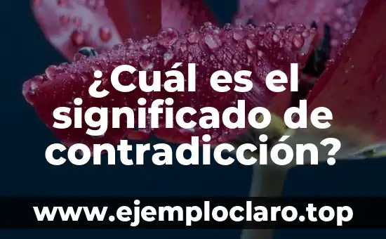 ¿De qué año es Dragon Ball? - Una guía completa sobre la historia de Dragon Ball 6 ¿Cuál es el significado de contradicción?