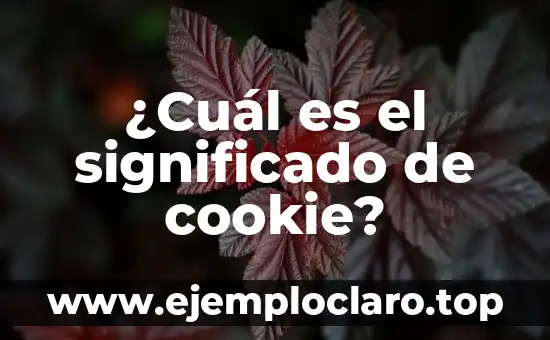 ¿De qué año es Dragon Ball? - Una guía completa sobre la historia de Dragon Ball 5 ¿Cuál es el significado de cookie?