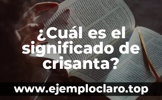 Significado de la Poesía del Siglo de Oro 3 ¿Cuál es el significado de crisanta?