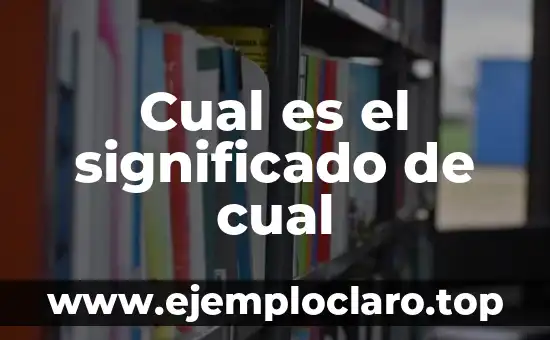 Cual es el significado de cual