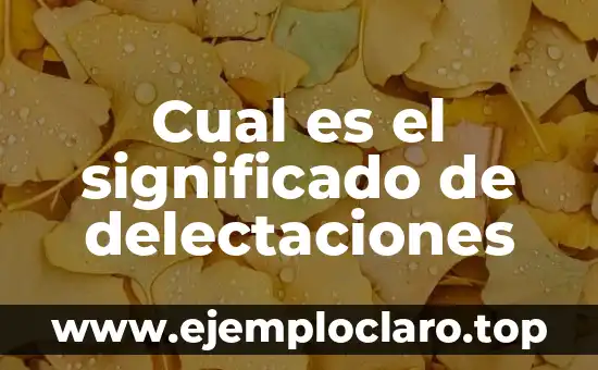 Cual es el significado de delectaciones