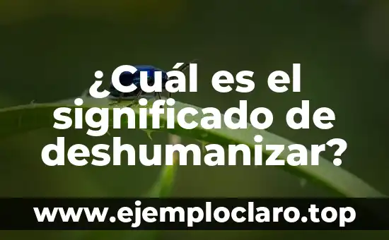 ¿Cuál es el Segundo Idioma más Hablado del Mundo? 6 ¿Cuál es el significado de deshumanizar?