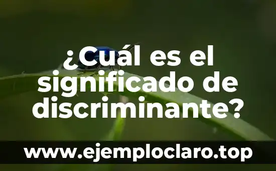 ¿Qué es el Vestido Dorado o Azul? La Ilusión Óptica que Divide a la Sociedad 7 ¿Cuál es el significado de discriminante?