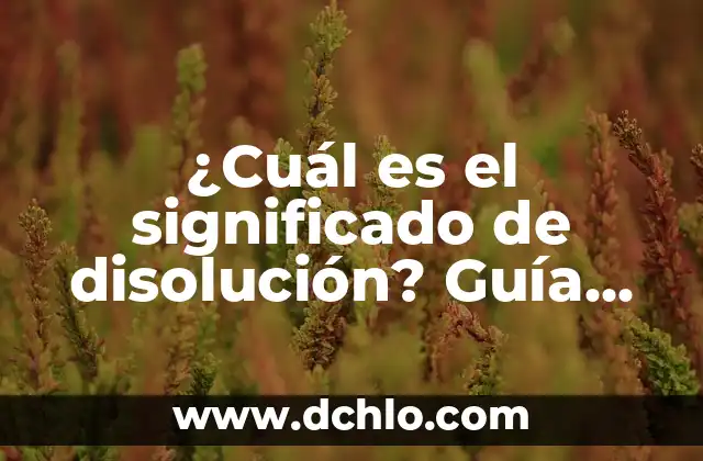 ElectroMiografía: Descubre su Significado y Aplicaciones 7 ¿Cuál es el significado de disolución? Guía completa y detallada