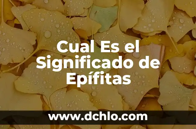 El Significado de la Gastronomía Prehispánica en México 3 Cual Es el Significado de Epífitas