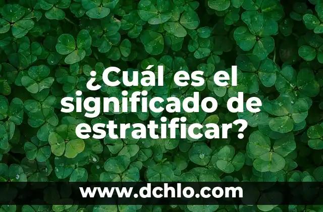 Hipoglucémica: Comprensión del significado y concepto 3 ¿Cuál es el significado de estratificar?