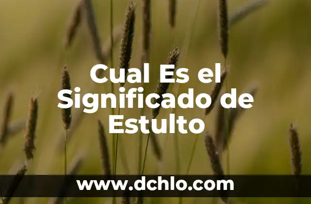 Significado de Eufemismo: Un Enfoque Sutil en el Lenguaje 8 Cual Es el Significado de Estulto