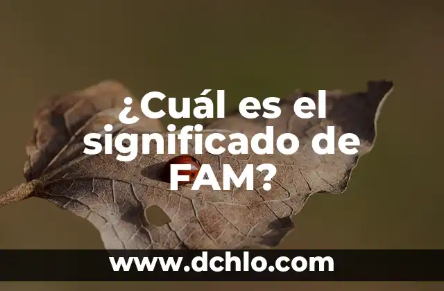 El significado de la fabulación: Cuando la imaginación se convierte en realidad 3 ¿Cuál es el significado de FAM?