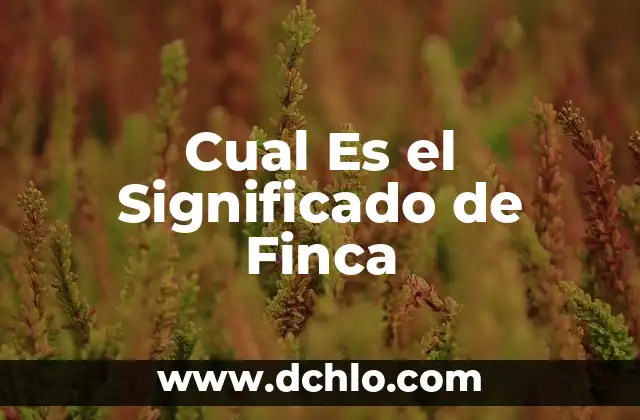 En Grado de Tentativa Significado: Un Acercamiento al Concepto 8 Cual Es el Significado de Finca