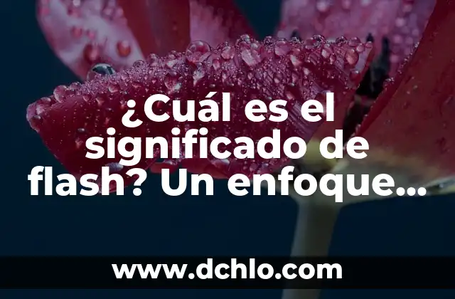 Significado Formal de la Lógica: Un Enfoque Riguroso al Razonamiento 5 ¿Cuál es el significado de flash? Un enfoque detallado