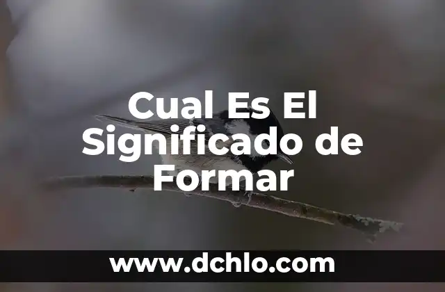 El significado filosófico de la esencia 3 Cual Es El Significado de Formar