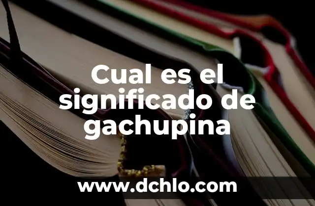 El Significado Nominal de la Sabiduría 5 Cual es el significado de gachupina