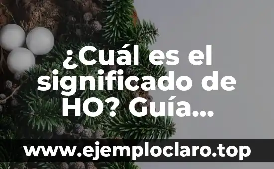 El Significado de la Fachada de la Universidad de Alcalá 3 ¿Cuál es el significado de HO? Guía Completa