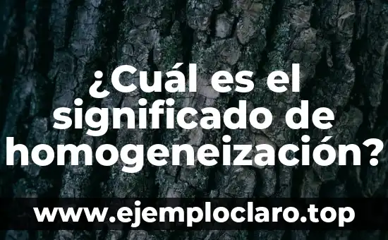 ¿Cuál es el significado de homogeneización?