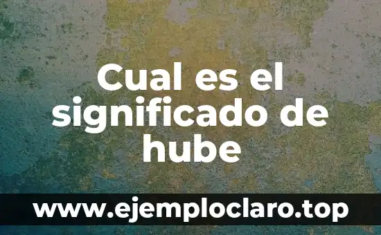 Cual es el significado de hube
