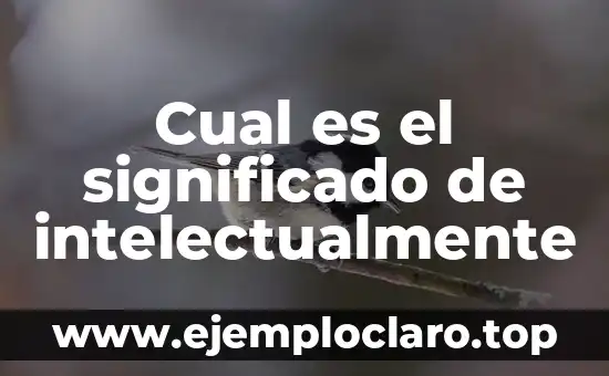 Cual es el significado de intelectualmente