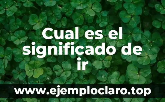 Cual es el significado de ir