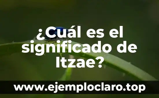 Significado de Me Caes de Pelos - Una Expresión Común en Español 3 ¿Cuál es el significado de Itzae?