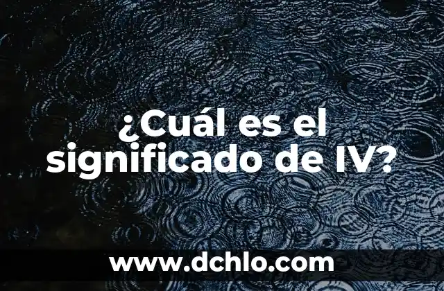 En Esencia, el Significado de una Frase 8 ¿Cuál es el significado de IV?