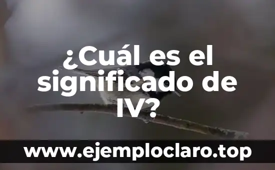 ¿Cuál es el significado de IV?
